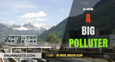 Japan's Pollution Problem: Is It a Major Polluter?