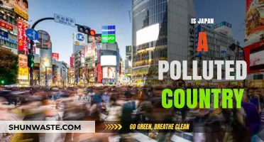 Japan's Pollution Problem: A Country's Environmental Crisis