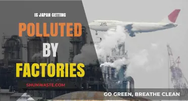 Japan's Factory Pollution: A Growing Concern?