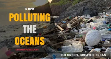 Japan's Ocean Pollution: Impact and Solutions