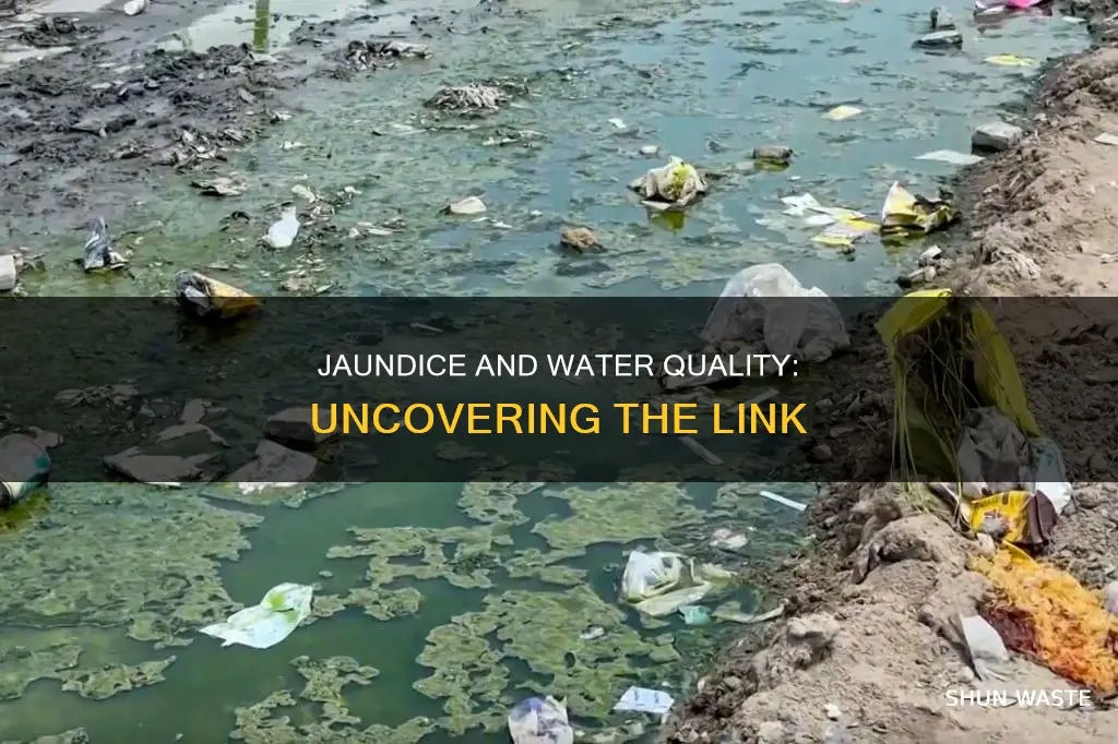 is jaundice caused by polluted water