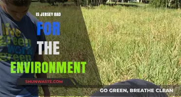 Jersey's Environmental Impact: Sustainable Fashion or Eco-Disaster?