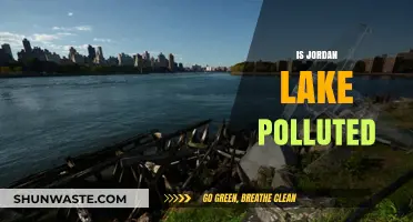 Jordan Lake: Is It Polluted?