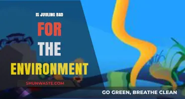 Juuling's Environmental Impact: Uncovering the Hidden Ecological Costs of Vaping