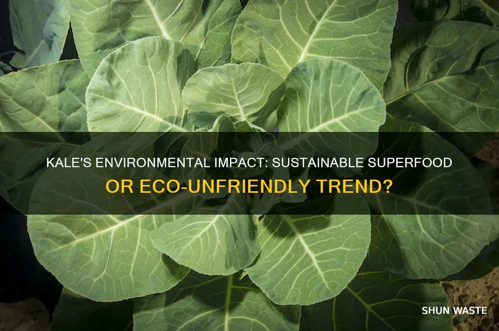 is kale bad for environment