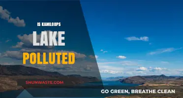 Kamloops Lake: Is It Polluted?
