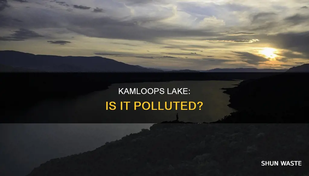 is kamloops lake polluted
