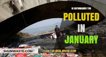 Kathmandu's January Pollution: A Month of Hazards