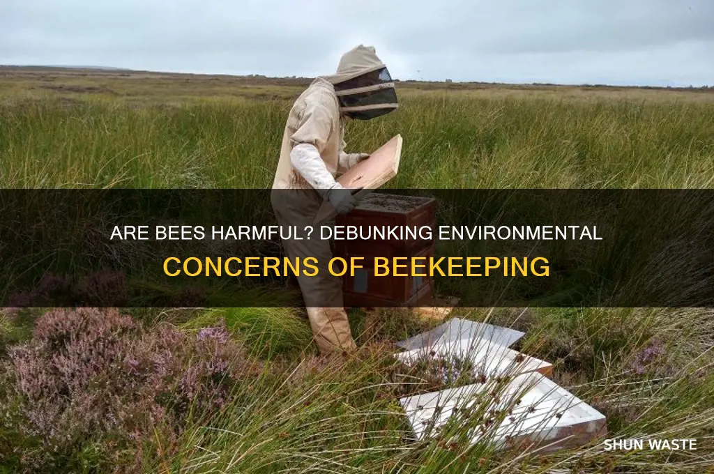 is keeping bees bad for the environment
