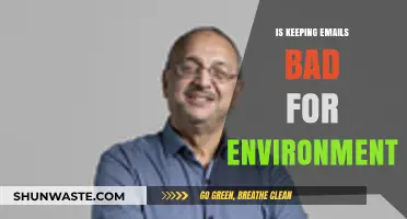 The Environmental Impact of Email Storage: Is It Sustainable?
