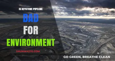 Is the Keystone Pipeline an Environmental Threat? A Critical Analysis