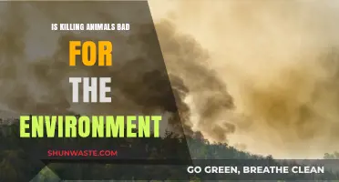 Killing Animals: Environmental Impact and Ethical Considerations Explored