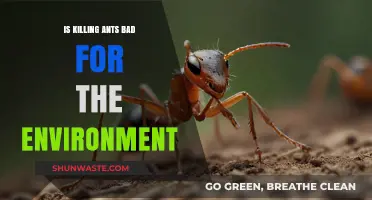 Is Killing Ants Harmful? Environmental Impact and Ethical Considerations