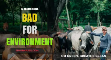 Environmental Impact of Killing Cows: A Critical Analysis and Debate