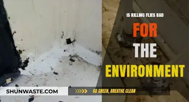 Is Killing Flies Harmful to Our Environment? Exploring the Impact