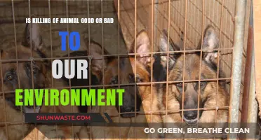 Animal Killing: Environmental Impact—Harmful or Beneficial for Our Planet?