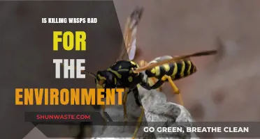 Are Wasps Eco-Friendly? The Environmental Impact of Killing Them