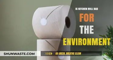 Is Kitchen Roll Eco-Friendly? Uncovering Its Environmental Impact and Alternatives