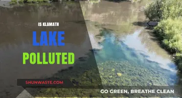 Klamath Lake's Pollution Problem: What's the Deal?