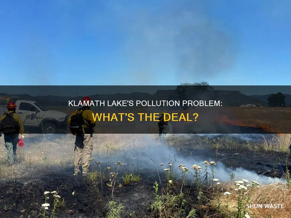 is klamath lake polluted