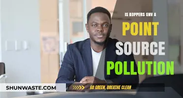 GNV Pollution: Koppers' Point Source Problem?