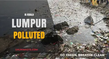 Kuala Lumpur's Pollution Problem: Is It Getting Worse?