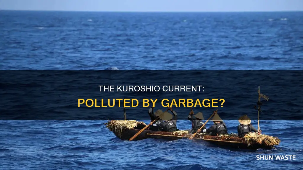 is kuroshio current polluted bygarbage