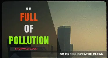 LA's Pollution Problem: Is It Getting Worse?