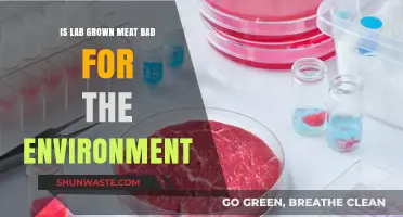 Lab-Grown Meat: Environmental Savior or Hidden Eco-Disaster?