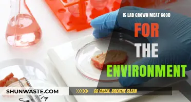 Lab-Grown Meat: A Sustainable Solution for Our Planet's Future?