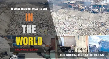 Lagos: World's Most Polluted City?