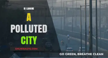 Lahore's Pollution Problem: A City's Plight