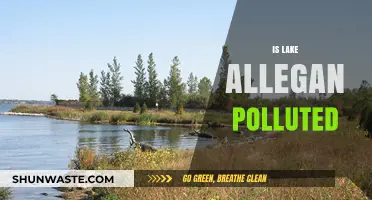 Lake Allegan: A Polluted Paradise?