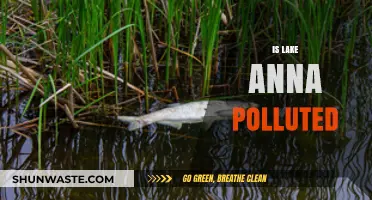 Lake Anna's Pollution Problem: Is It Getting Worse?