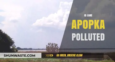 Lake Apopka's Pollution Problem: A Troubled History
