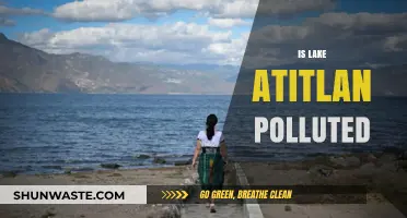 Lake Atitlan's Pollution Problem: Is It Too Late?