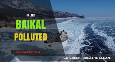 Baikal's Pollution: Is the Sacred Lake Endangered?