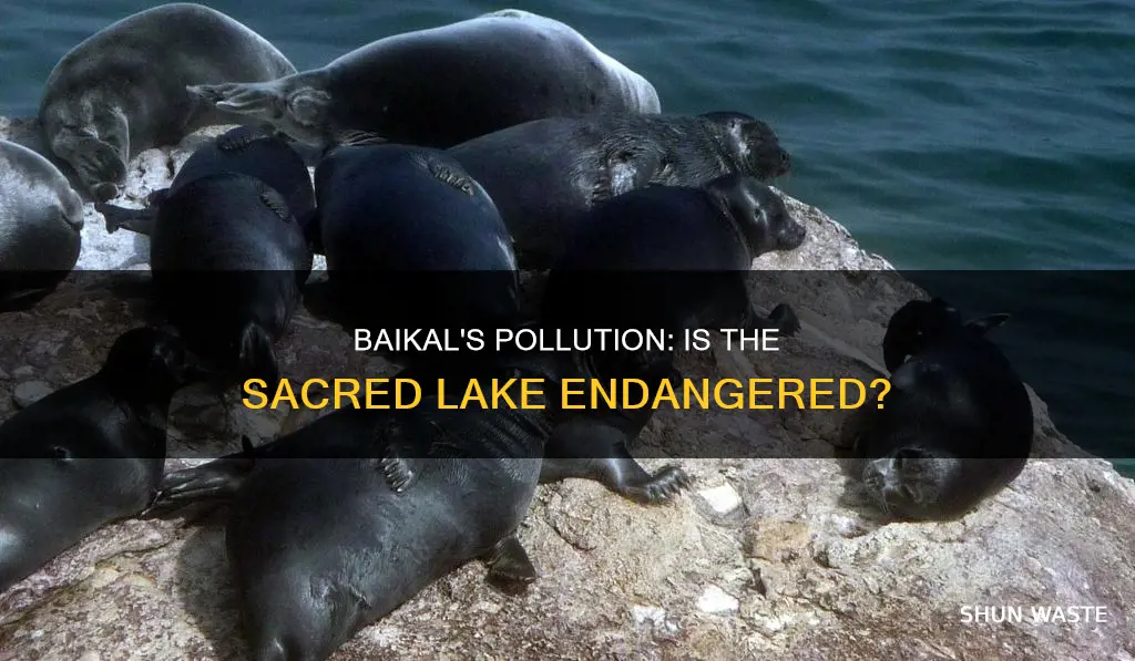 is lake baikal polluted
