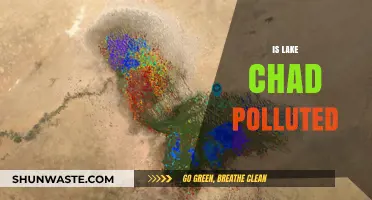 Lake Chad's Pollution Crisis: What's Happening?