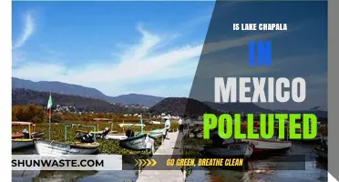 Lake Chapala's Pollution Problem in Mexico