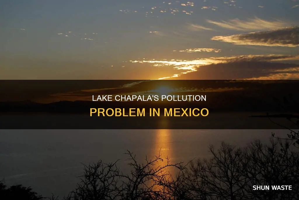 is lake chapala in mexico polluted