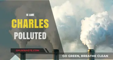 Lake Charles: A Polluted Paradise?