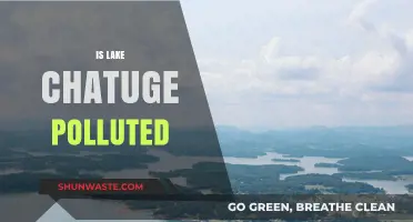 Lake Chatuge's Pollution Problem: What's the Reality?