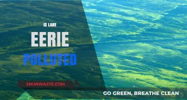Lake Erie's Pollution Problem: Is it Getting Worse?
