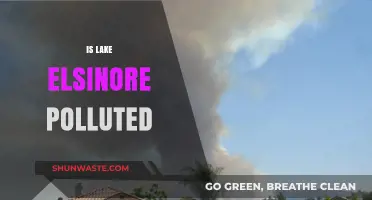 Lake Elsinore's Pollution Problem: Is It Getting Better?