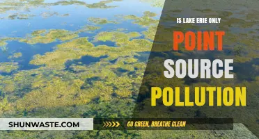 Lake Erie's Pollution: Beyond Point Sources