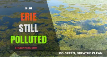 Lake Erie's Pollution Problem: Is It Still Polluted?