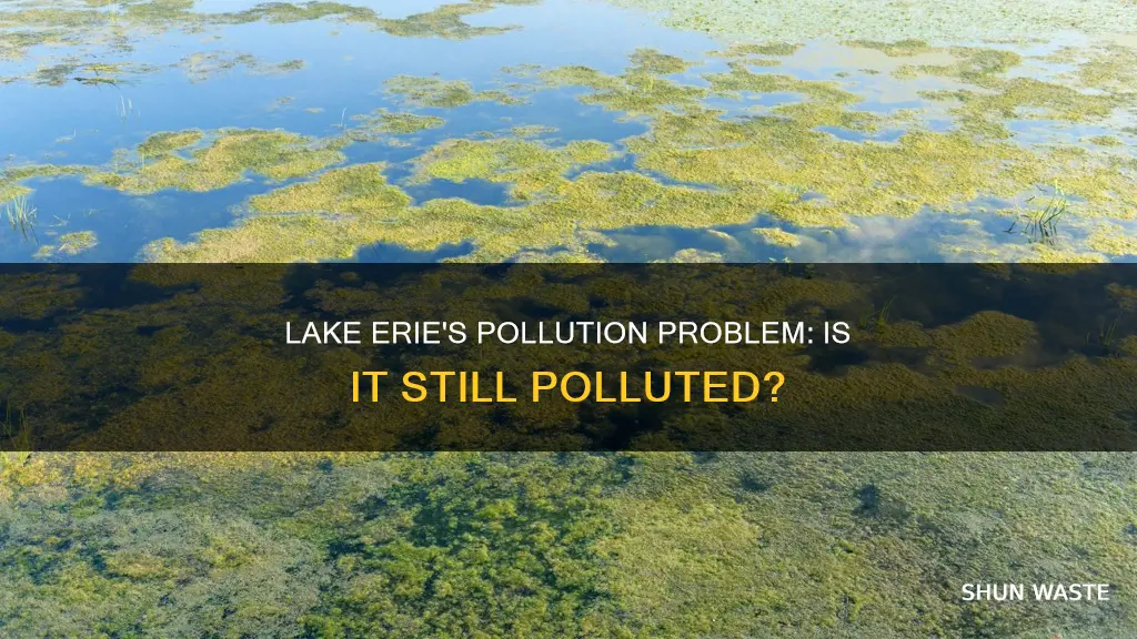 is lake erie still polluted