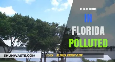 Lake Eustis: A Polluted Paradise in Florida?