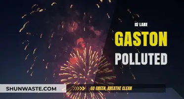 Lake Gaston's Pollution Problem: Is It Getting Worse?